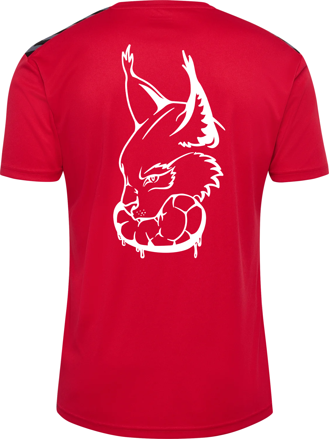 hmlAUTHENTIC PL JERSEY S/S – Bild 1 von 2